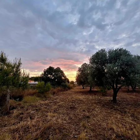 Σπίτι διακοπών Casitas Del Mar Αλικάντε